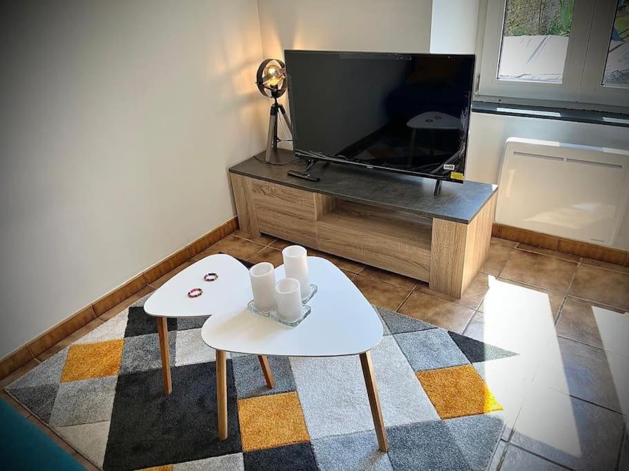 Tres Bel Appartement Avec Jardin Et Jacuzzi Scey-sur-Saone-et-Saint-Albin Экстерьер фото